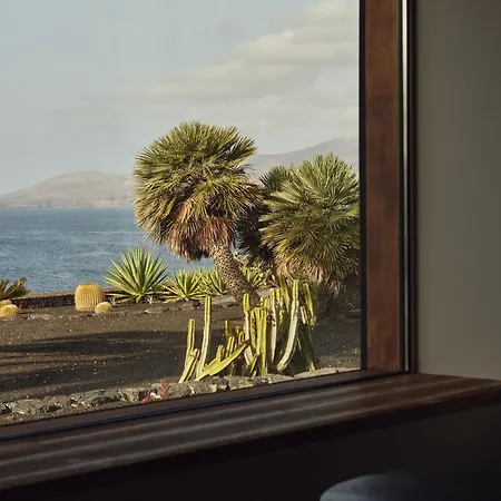 Tenor * Puerto Calero